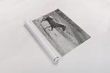 Pasture Run by Sue Schlabach. shown as a rolled paper print. Available as archival giclee rolled canvas, fine art paper, or poster print. SKU 58274i.