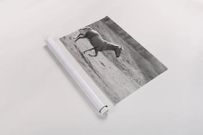 Pasture Run by Sue Schlabach. shown as a rolled paper print. Available as archival giclee rolled canvas, fine art paper, or poster print. SKU 58274i.