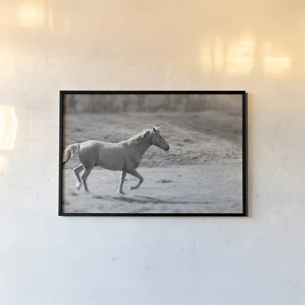 Pasture Run by Sue Schlabach. shown as a paper print in a black flame. Available as a archival giclee rolled canvas, fine art paper, or poster print. SKU 58274i.