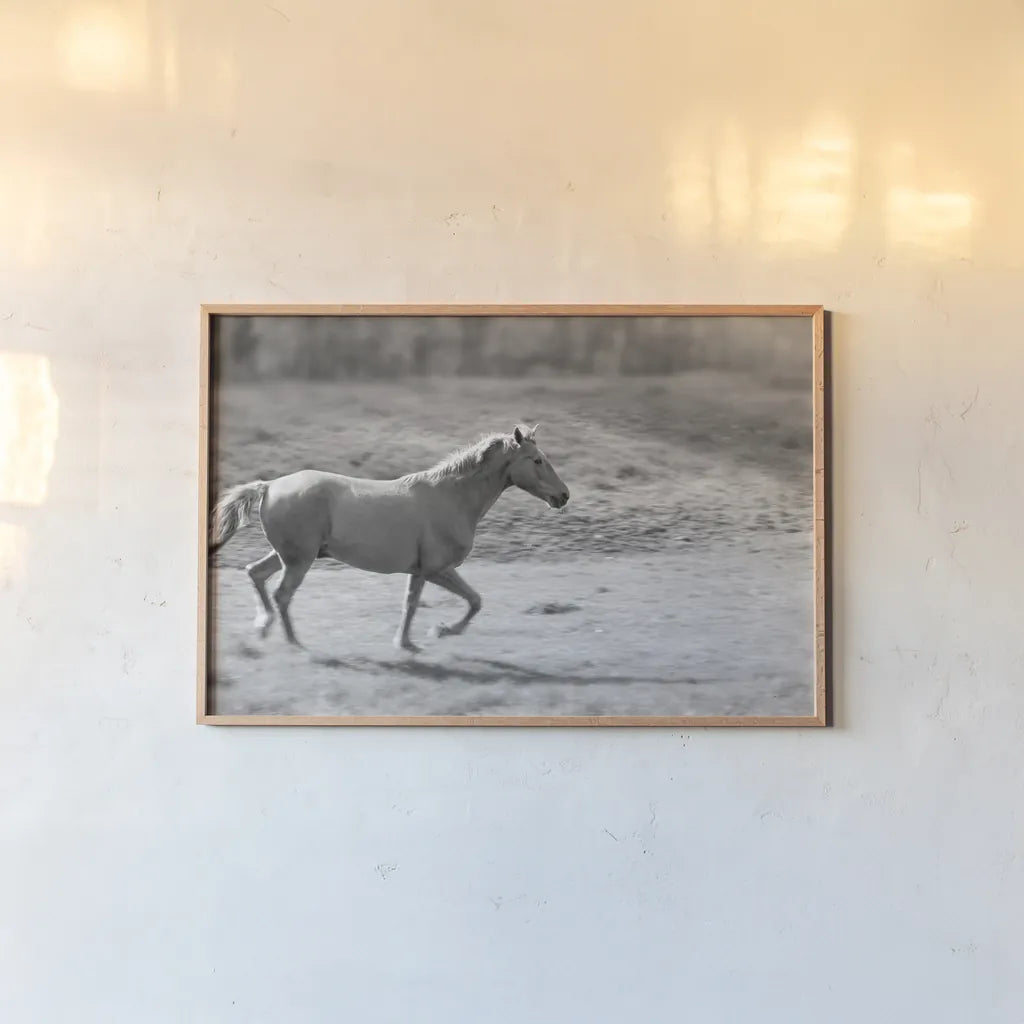 Pasture Run by Sue Schlabach. shown as a paper print in a natural frame. Available as a archival giclee rolled canvas, fine art paper, or poster print. SKU 58274i.