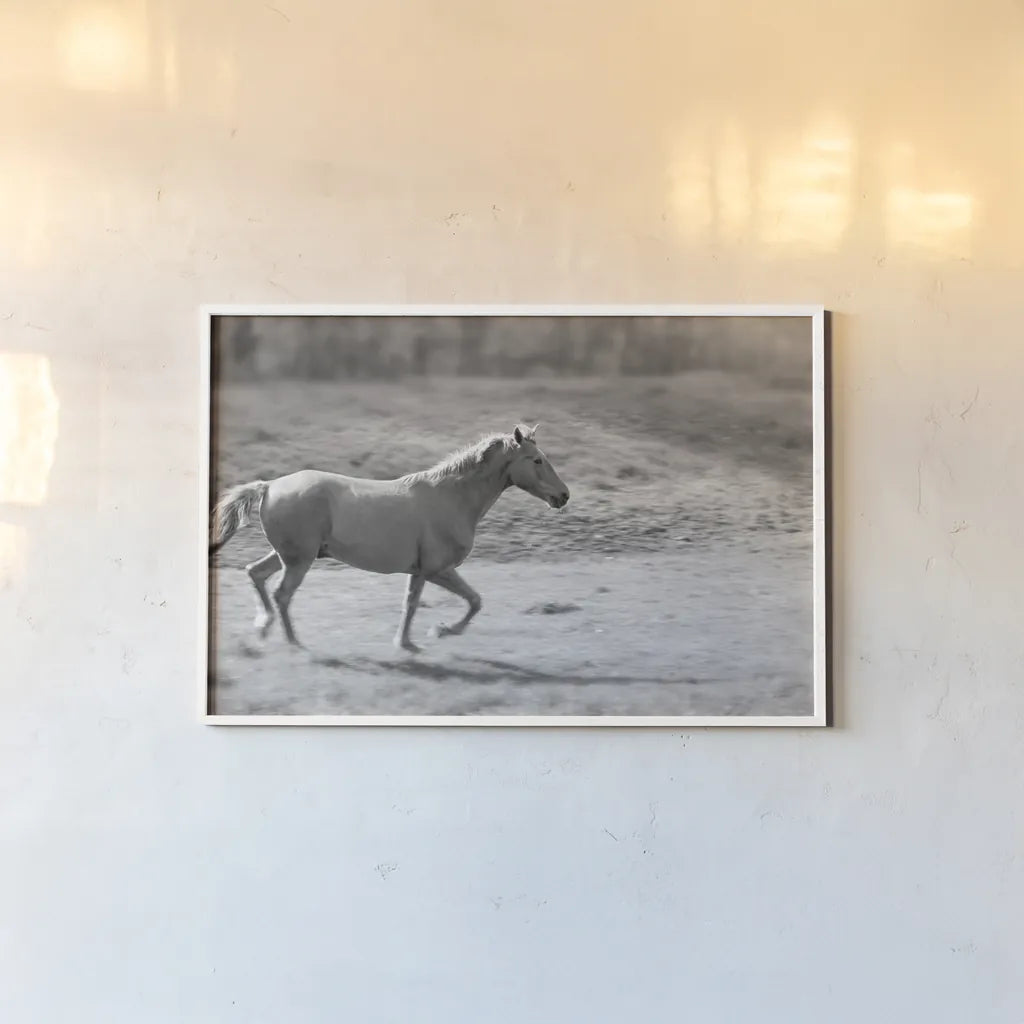 Pasture Run by Sue Schlabach. shown as a paper print in a white frame. Available as a archival giclee rolled canvas, fine art paper, or poster print. SKU 58274i.