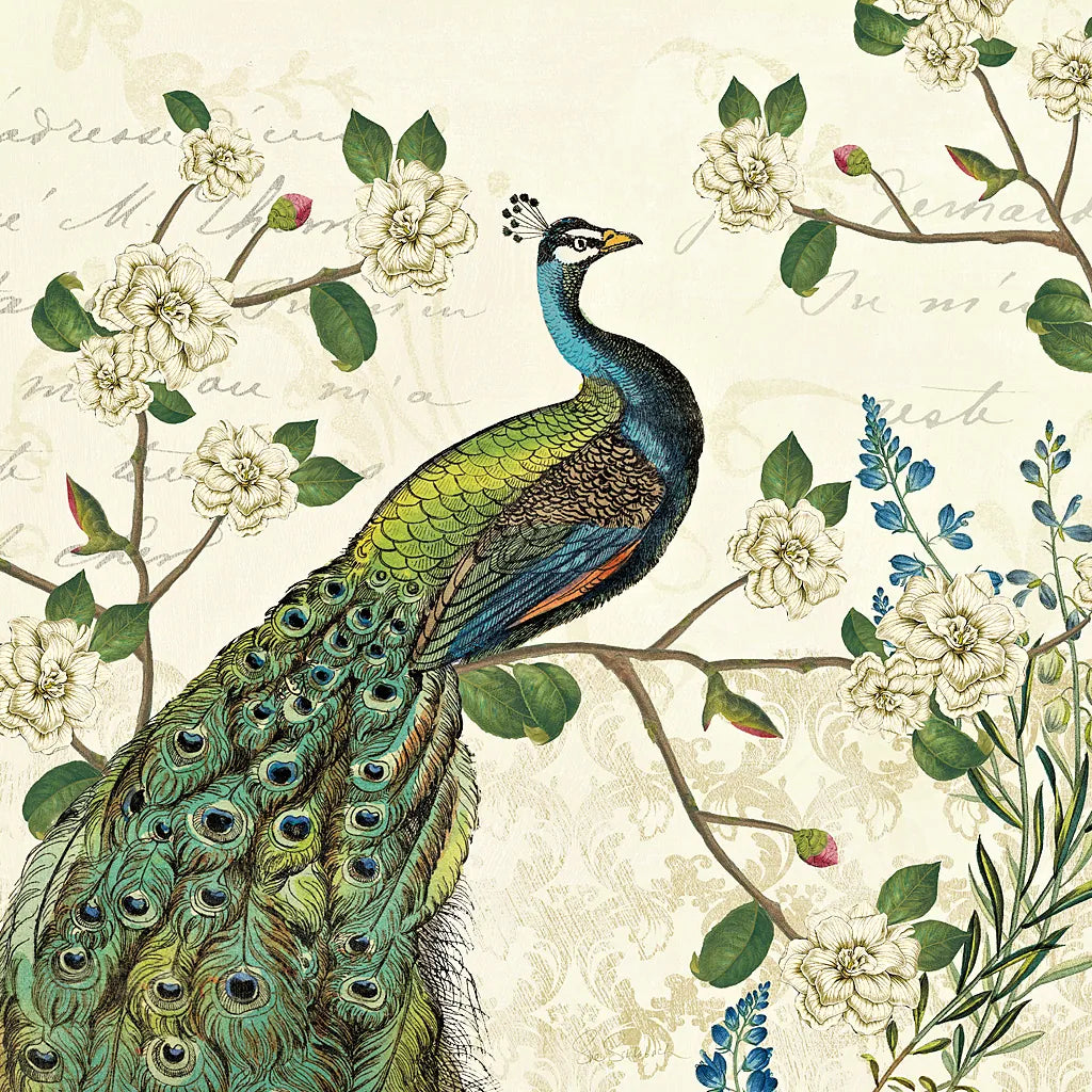 Peacock Arbor I Ivory Sq by Sue Schlabach. SKU 16059a. Archival Giclee Fine art print for wall decor.