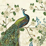 Peacock Arbor I Ivory Sq by Sue Schlabach. SKU 16059a. Archival Giclee Fine art print for wall decor.