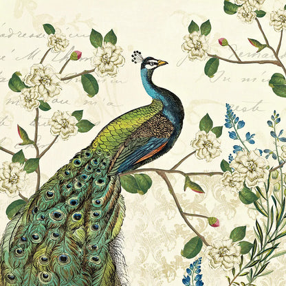 Peacock Arbor I Ivory Sq by Sue Schlabach. SKU 16059a. Archival Giclee Fine art print for wall decor.
