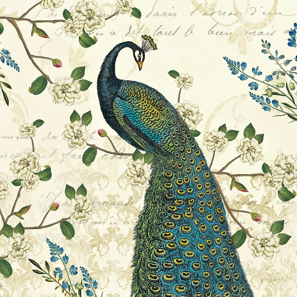 Peacock Arbor II Ivory Sq by Sue Schlabach. SKU 16060a. Archival Giclee Fine art print for wall decor.