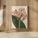 Pink Phlox Botany No Words by Sue Schlabach. shown as over sized large wall art. Available as an archival giclee rolled canvas, fine art paper, or poster print. SKU 44797h.
