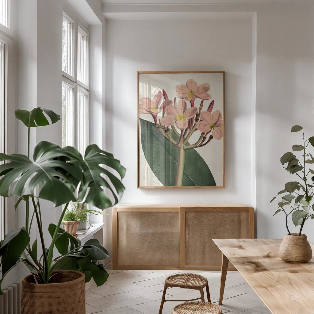 Pink Phlox Botany No Words by Sue Schlabach. shown as a print in a natural wood frame in a dining room. Available as a archival giclee rolled canvas, fine art paper, or poster print. SKU 44797h.