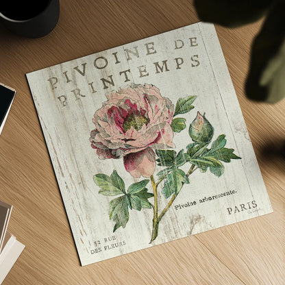 Pivione de Printemps Sq by Sue Schlabach. Shown as a detailed flat fine art print, highlighting archival giclee quality. Available as an archival giclee rolled canvas, fine art paper, or poster print. SKU 13398a.