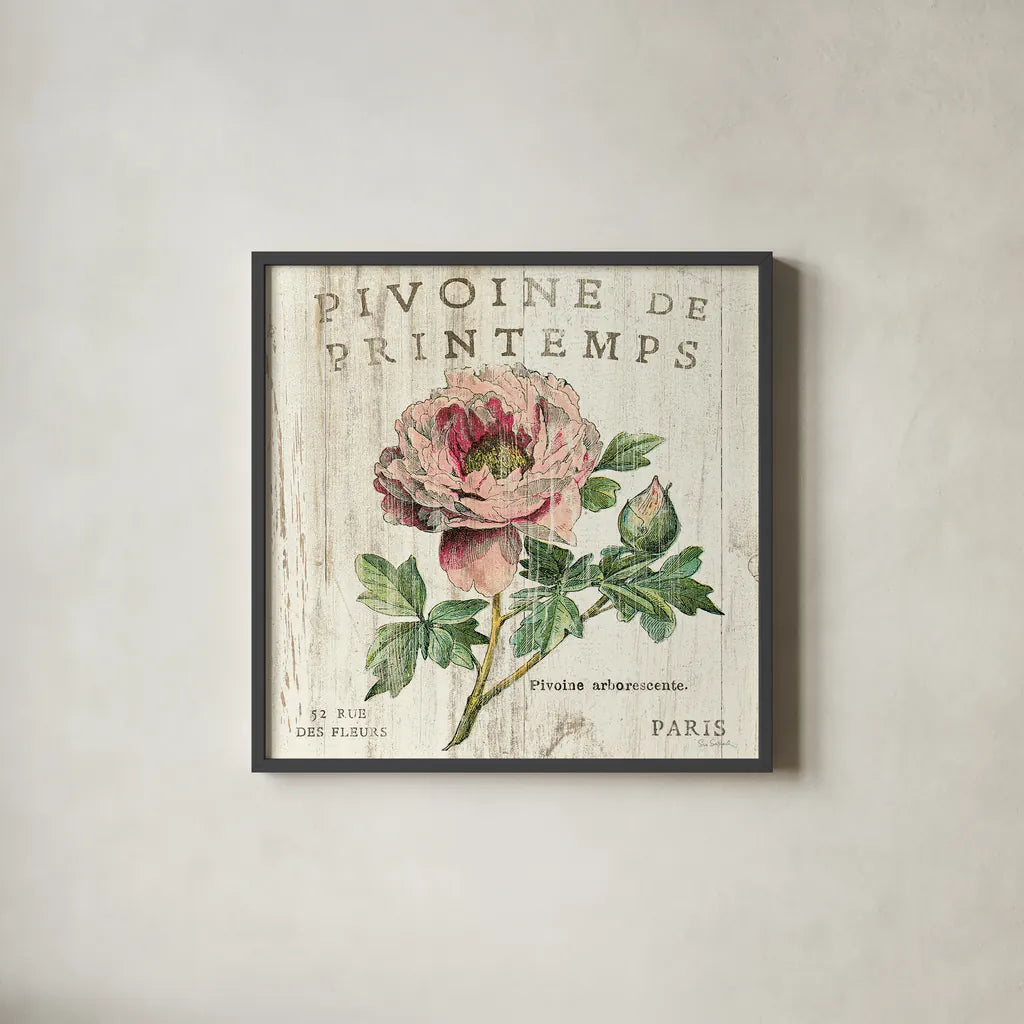 Pivione de Printemps Sq by Sue Schlabach. Shown in a sleek black glass frame for a contemporary gallery look. Available as an archival giclee rolled canvas, fine art paper, or poster print. SKU 13398a.