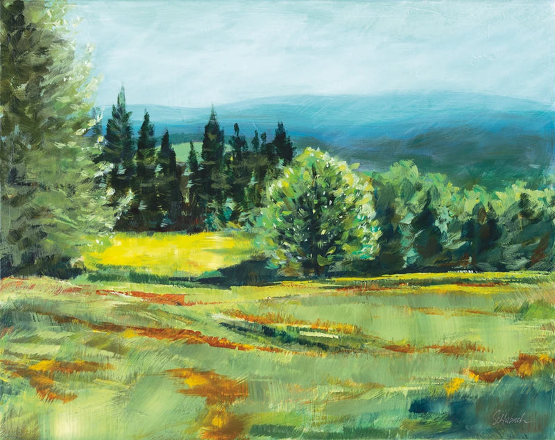 Pocket Meadow by Sue Schlabach
