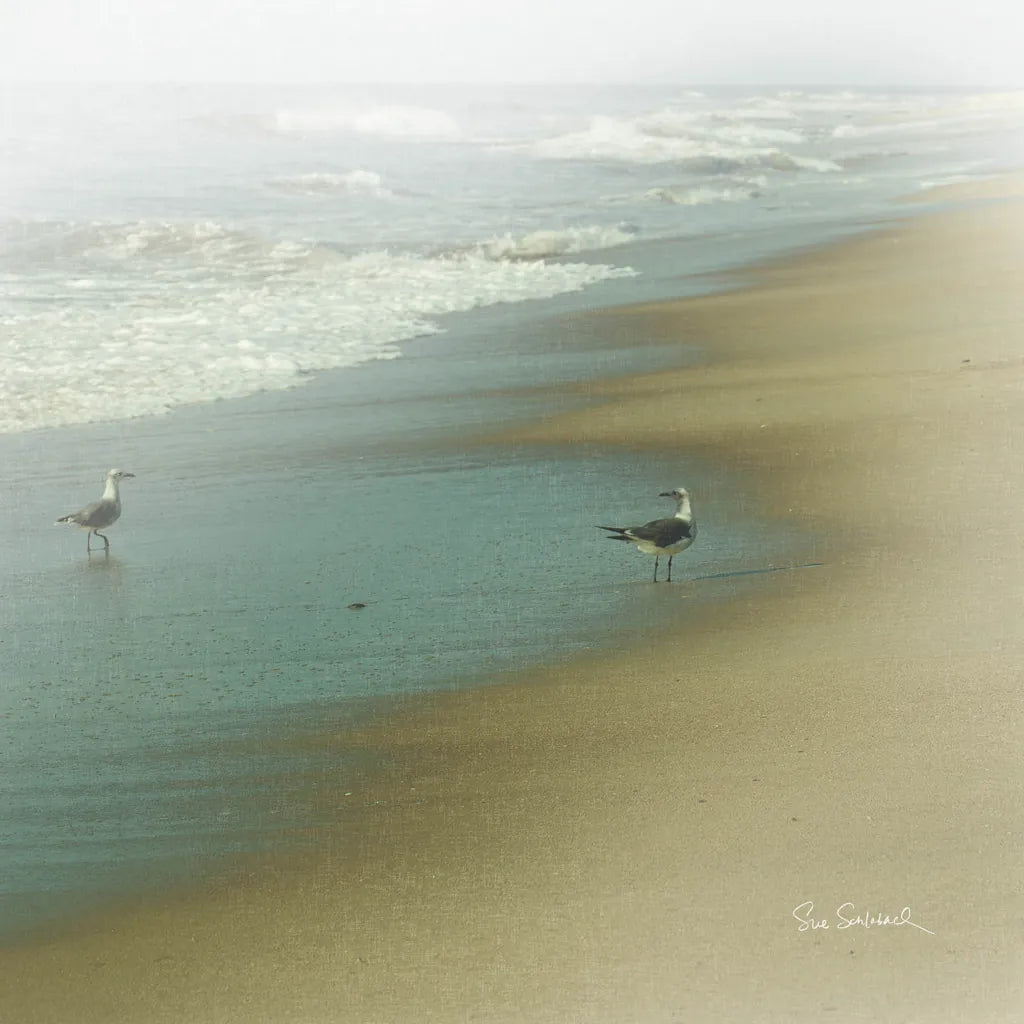 Seabirds no Border by Sue Schlabach. SKU 10607a. Archival Giclee Fine art print for wall decor.