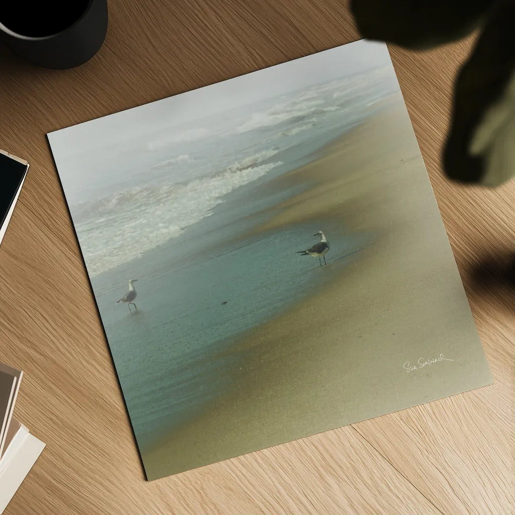 Seabirds no Border by Sue Schlabach. Shown as a detailed flat fine art print, highlighting archival giclee quality. Available as an archival giclee rolled canvas, fine art paper, or poster print. SKU 10607a.