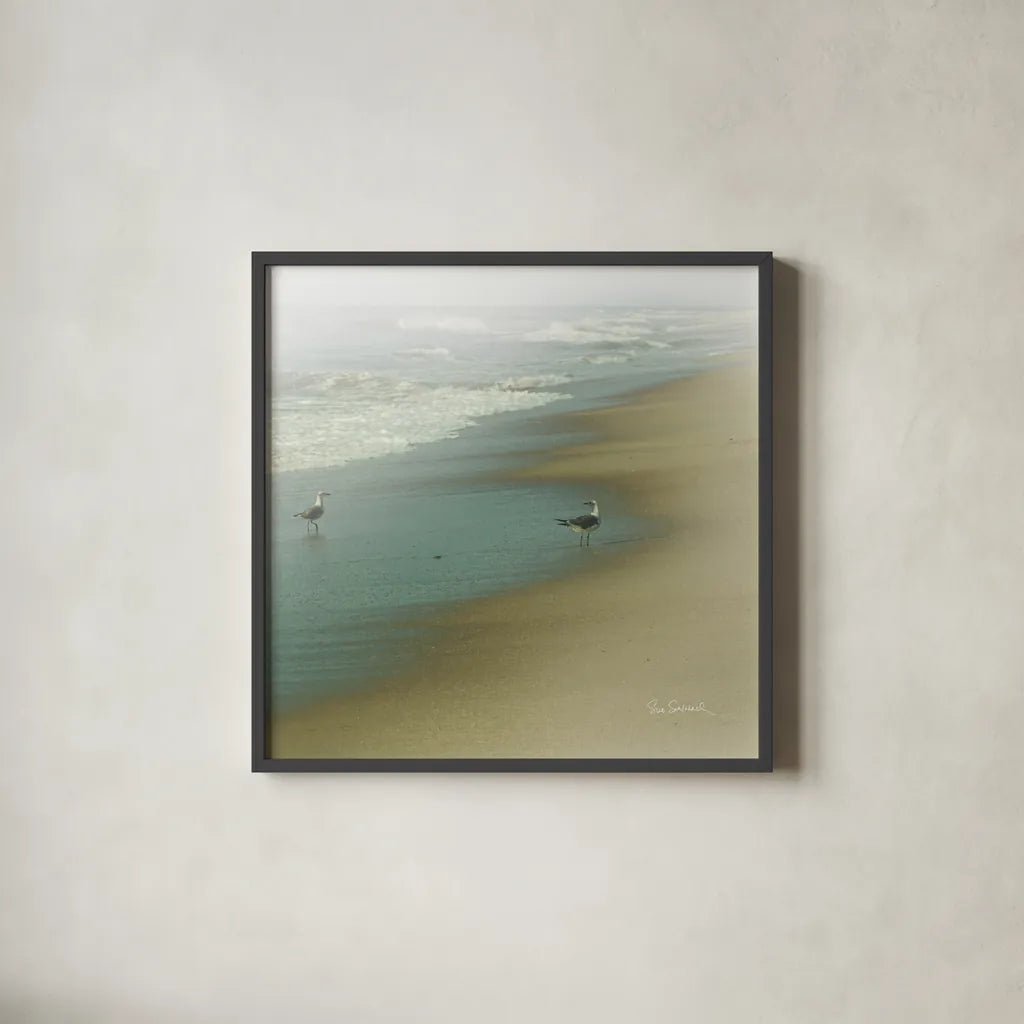 Seabirds no Border by Sue Schlabach. Shown in a sleek black glass frame for a contemporary gallery look. Available as an archival giclee rolled canvas, fine art paper, or poster print. SKU 10607a.