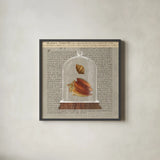 Shell Under Glass Newsprint II by Sue Schlabach. Shown in a sleek black glass frame for a contemporary gallery look. Available as an archival giclee rolled canvas, fine art paper, or poster print. SKU 44731a.