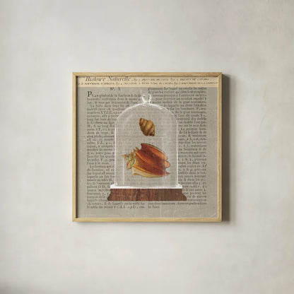 Shell Under Glass Newsprint II by Sue Schlabach. Shown in a natural wood glass frame for a timeless modern aesthetic. Available as an archival giclee rolled canvas, fine art paper, or poster print. SKU 44731a.