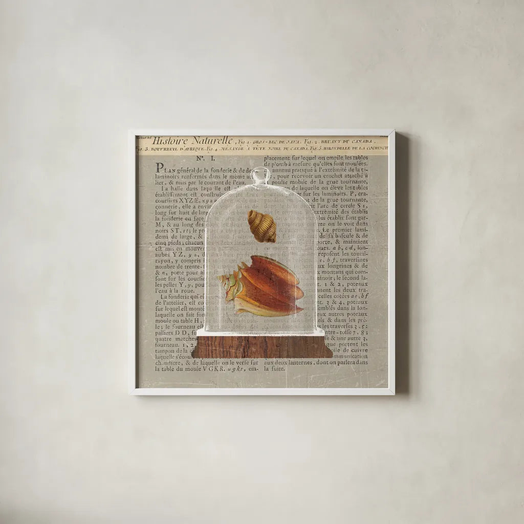 Shell Under Glass Newsprint II by Sue Schlabach. Shown in a crisp white glass frame for a clean and minimalist style. Available as an archival giclee rolled canvas, fine art paper, or poster print. SKU 44731a.