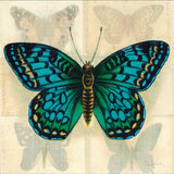 Silk Butterfly I No Border by Sue Schlabach. SKU 44504a. Archival Giclee Fine art print for wall decor.