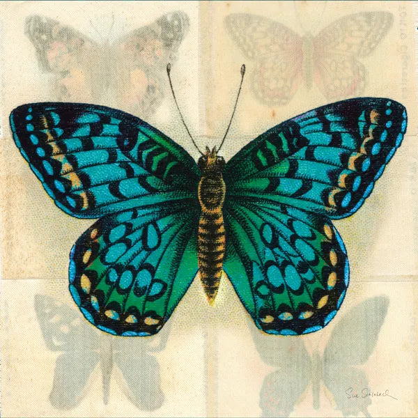 Silk Butterfly I No Border by Sue Schlabach. SKU 44504a. Archival Giclee Fine art print for wall decor.