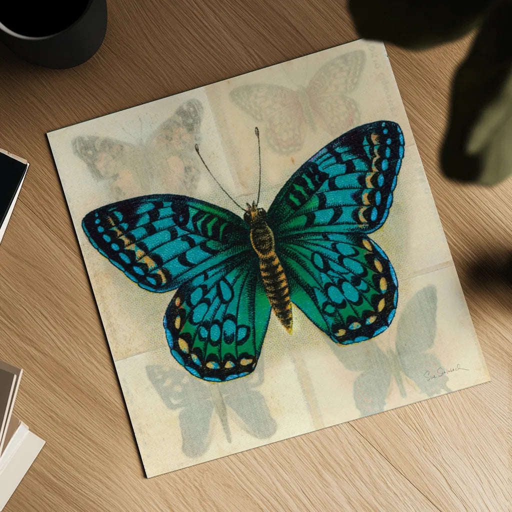 Silk Butterfly I No Border by Sue Schlabach. Shown as a detailed flat fine art print, highlighting archival giclee quality. Available as an archival giclee rolled canvas, fine art paper, or poster print. SKU 44504a.