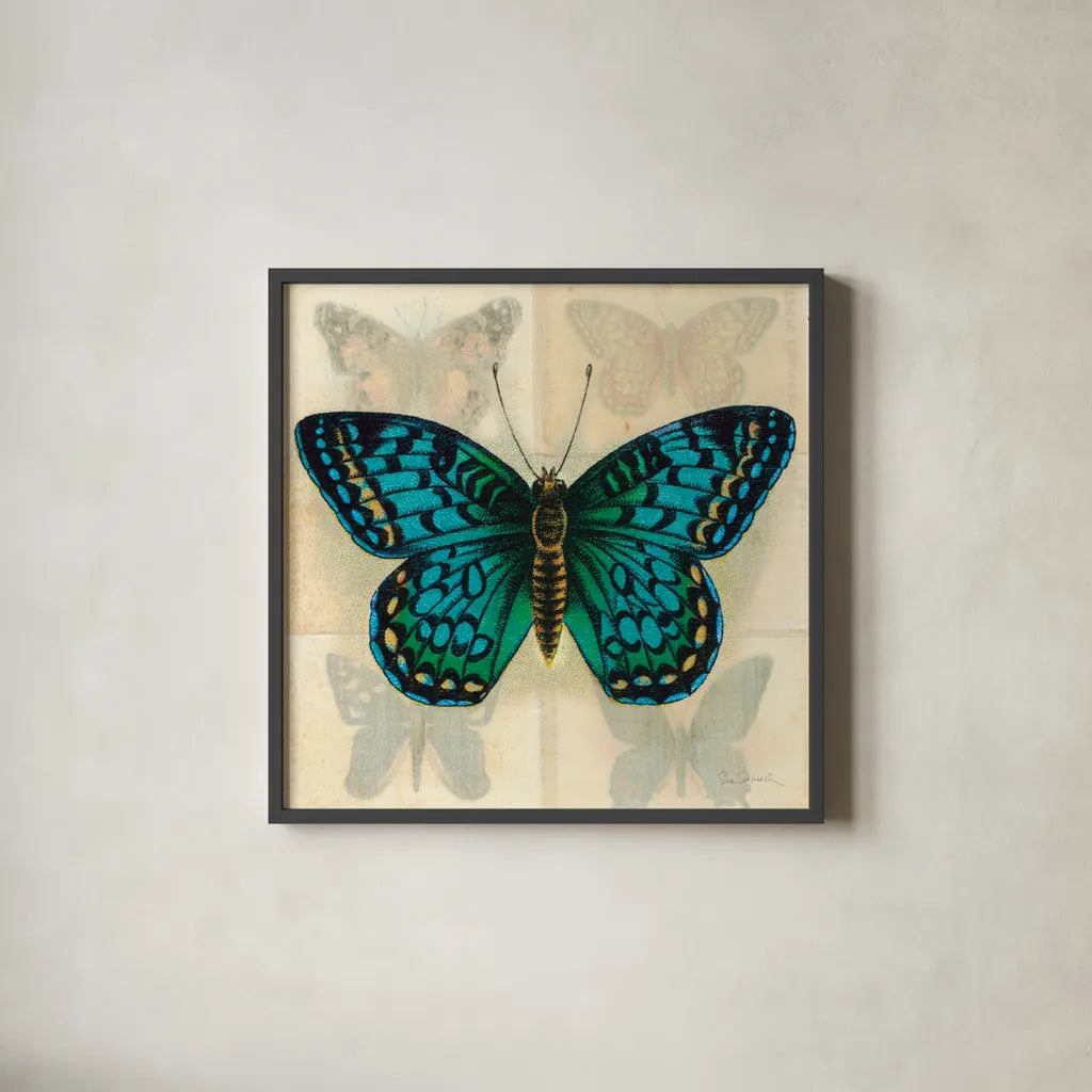 Silk Butterfly I No Border by Sue Schlabach. Shown in a sleek black glass frame for a contemporary gallery look. Available as an archival giclee rolled canvas, fine art paper, or poster print. SKU 44504a.