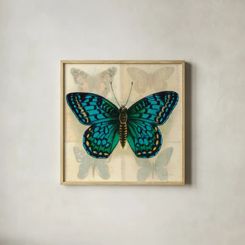 Silk Butterfly I No Border by Sue Schlabach. Shown in a natural wood glass frame for a timeless modern aesthetic. Available as an archival giclee rolled canvas, fine art paper, or poster print. SKU 44504a.
