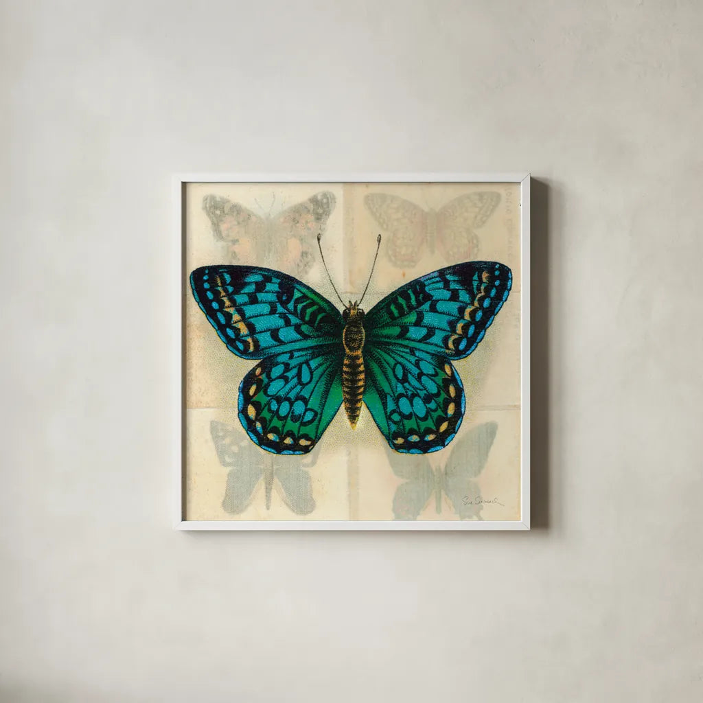 Silk Butterfly I No Border by Sue Schlabach. Shown in a crisp white glass frame for a clean and minimalist style. Available as an archival giclee rolled canvas, fine art paper, or poster print. SKU 44504a.
