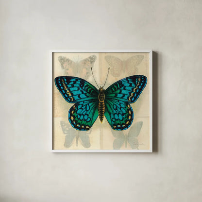 Silk Butterfly I No Border by Sue Schlabach. Shown in a crisp white glass frame for a clean and minimalist style. Available as an archival giclee rolled canvas, fine art paper, or poster print. SKU 44504a.