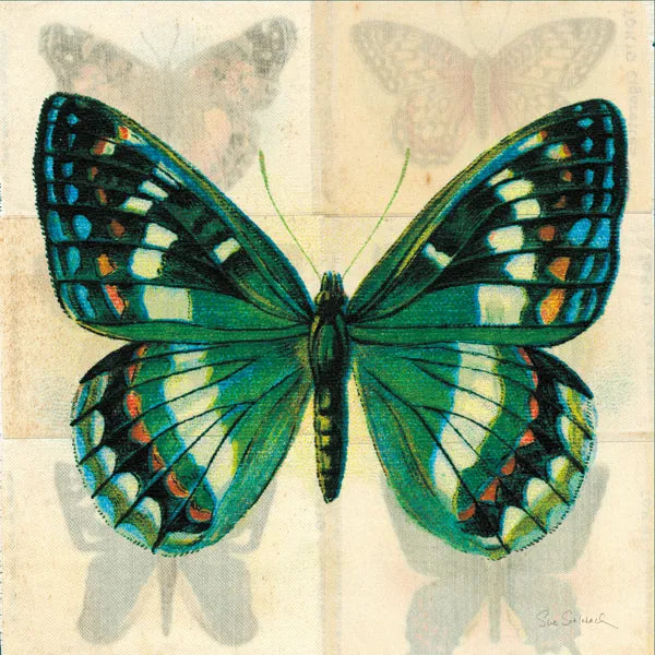 Silk Butterfly II No Border by Sue Schlabach. SKU 44505a. Archival Giclee Fine art print for wall decor.