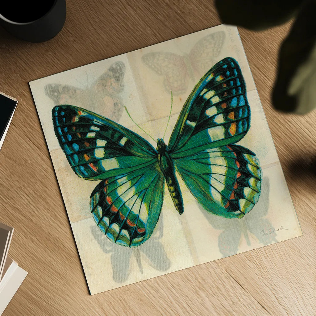 Silk Butterfly II No Border by Sue Schlabach. Shown as a detailed flat fine art print, highlighting archival giclee quality. Available as an archival giclee rolled canvas, fine art paper, or poster print. SKU 44505a.