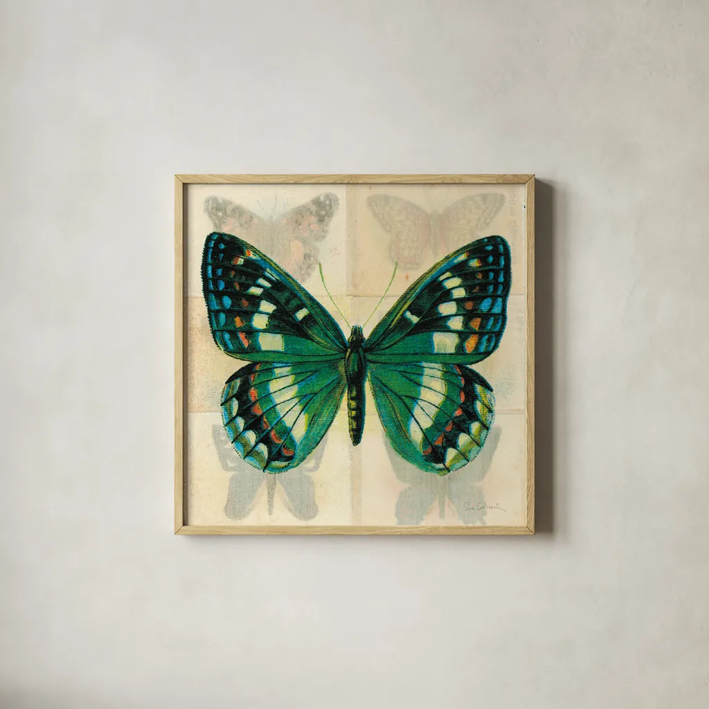 Silk Butterfly II No Border by Sue Schlabach. Shown in a natural wood glass frame for a timeless modern aesthetic. Available as an archival giclee rolled canvas, fine art paper, or poster print. SKU 44505a.