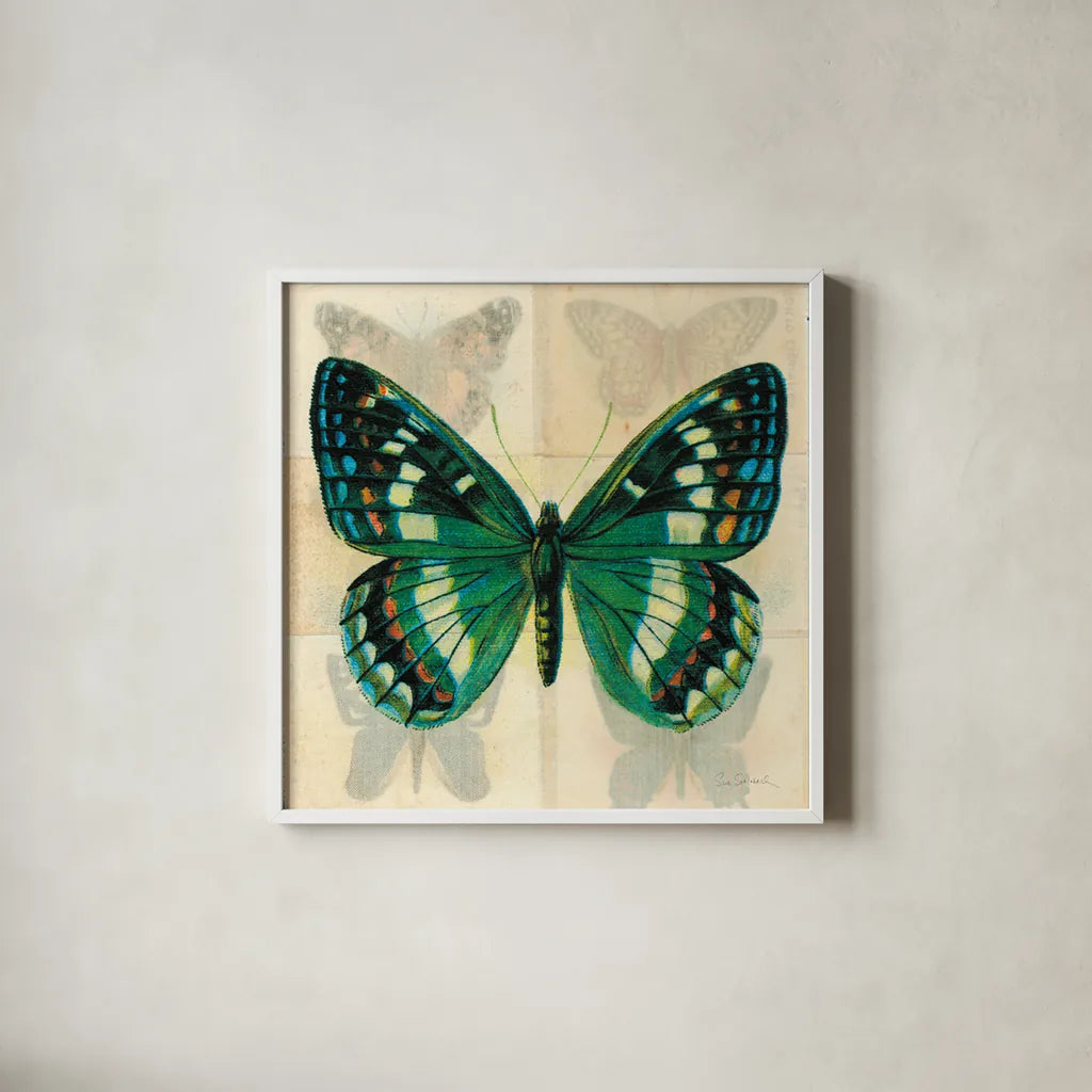Silk Butterfly II No Border by Sue Schlabach. Shown in a crisp white glass frame for a clean and minimalist style. Available as an archival giclee rolled canvas, fine art paper, or poster print. SKU 44505a.