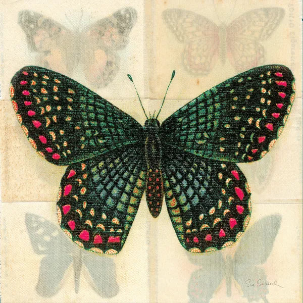 Silk Butterfly III No Border by Sue Schlabach. SKU 44506a. Archival Giclee Fine art print for wall decor.