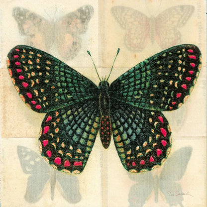 Silk Butterfly III No Border by Sue Schlabach. SKU 44506a. Archival Giclee Fine art print for wall decor.