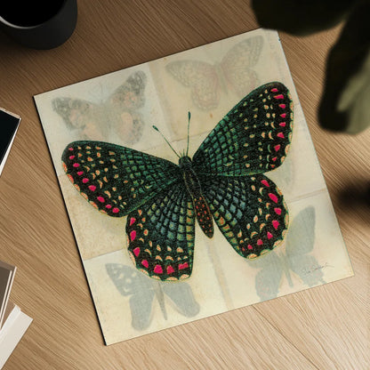 Silk Butterfly III No Border by Sue Schlabach. Shown as a detailed flat fine art print, highlighting archival giclee quality. Available as an archival giclee rolled canvas, fine art paper, or poster print. SKU 44506a.