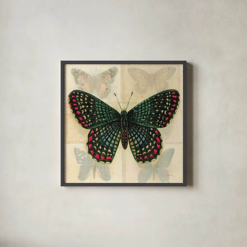 Silk Butterfly III No Border by Sue Schlabach. Shown in a sleek black glass frame for a contemporary gallery look. Available as an archival giclee rolled canvas, fine art paper, or poster print. SKU 44506a.