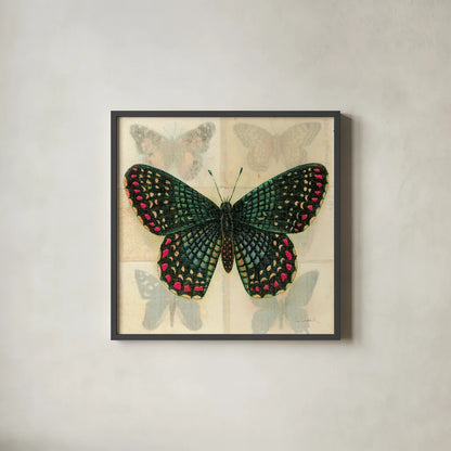 Silk Butterfly III No Border by Sue Schlabach. Shown in a sleek black glass frame for a contemporary gallery look. Available as an archival giclee rolled canvas, fine art paper, or poster print. SKU 44506a.
