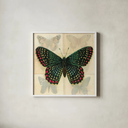 Silk Butterfly III No Border by Sue Schlabach. Shown in a crisp white glass frame for a clean and minimalist style. Available as an archival giclee rolled canvas, fine art paper, or poster print. SKU 44506a.