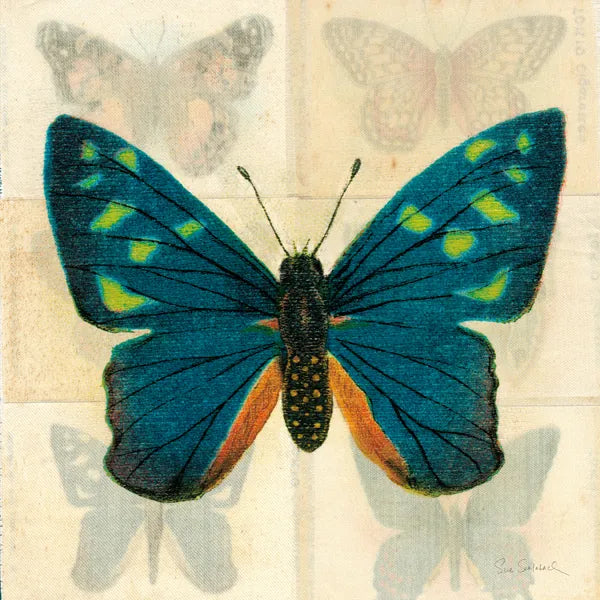 Silk Butterfly IV No Border by Sue Schlabach. SKU 44502a. Archival Giclee Fine art print for wall decor.