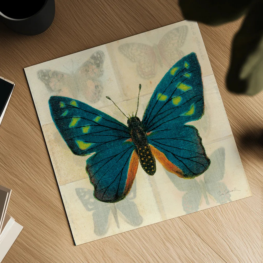 Silk Butterfly IV No Border by Sue Schlabach. Shown as a detailed flat fine art print, highlighting archival giclee quality. Available as an archival giclee rolled canvas, fine art paper, or poster print. SKU 44502a.