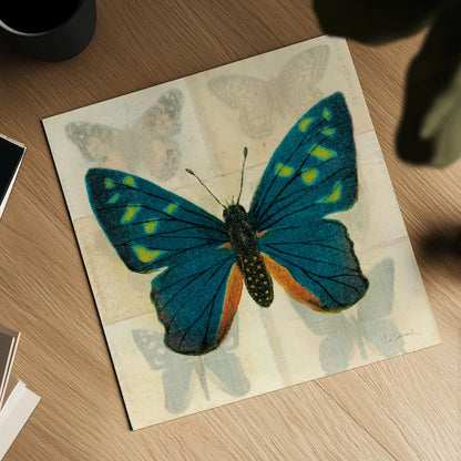 Silk Butterfly IV No Border by Sue Schlabach. Shown as a detailed flat fine art print, highlighting archival giclee quality. Available as an archival giclee rolled canvas, fine art paper, or poster print. SKU 44502a.