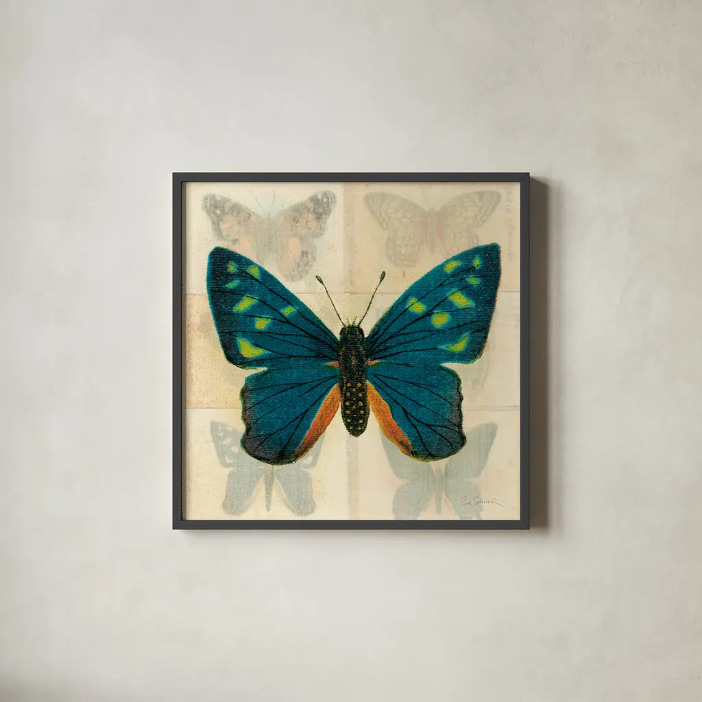 Silk Butterfly IV No Border by Sue Schlabach. Shown in a sleek black glass frame for a contemporary gallery look. Available as an archival giclee rolled canvas, fine art paper, or poster print. SKU 44502a.