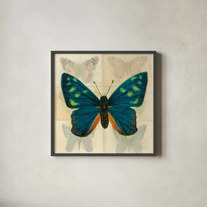 Silk Butterfly IV No Border by Sue Schlabach. Shown in a sleek black glass frame for a contemporary gallery look. Available as an archival giclee rolled canvas, fine art paper, or poster print. SKU 44502a.