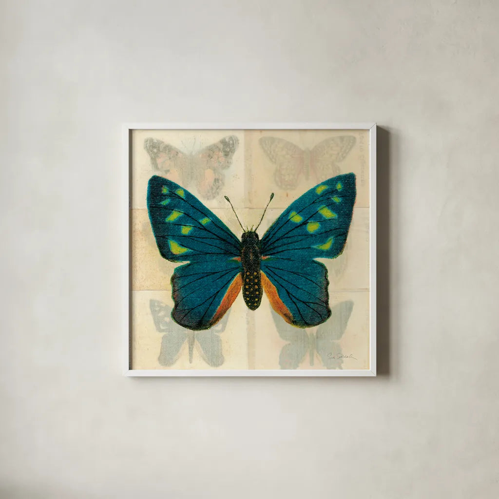 Silk Butterfly IV No Border by Sue Schlabach. Shown in a crisp white glass frame for a clean and minimalist style. Available as an archival giclee rolled canvas, fine art paper, or poster print. SKU 44502a.