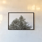 Snow on Treetops by Sue Schlabach. shown as a paper print in a black flame. Available as a archival giclee rolled canvas, fine art paper, or poster print. SKU 60939i.