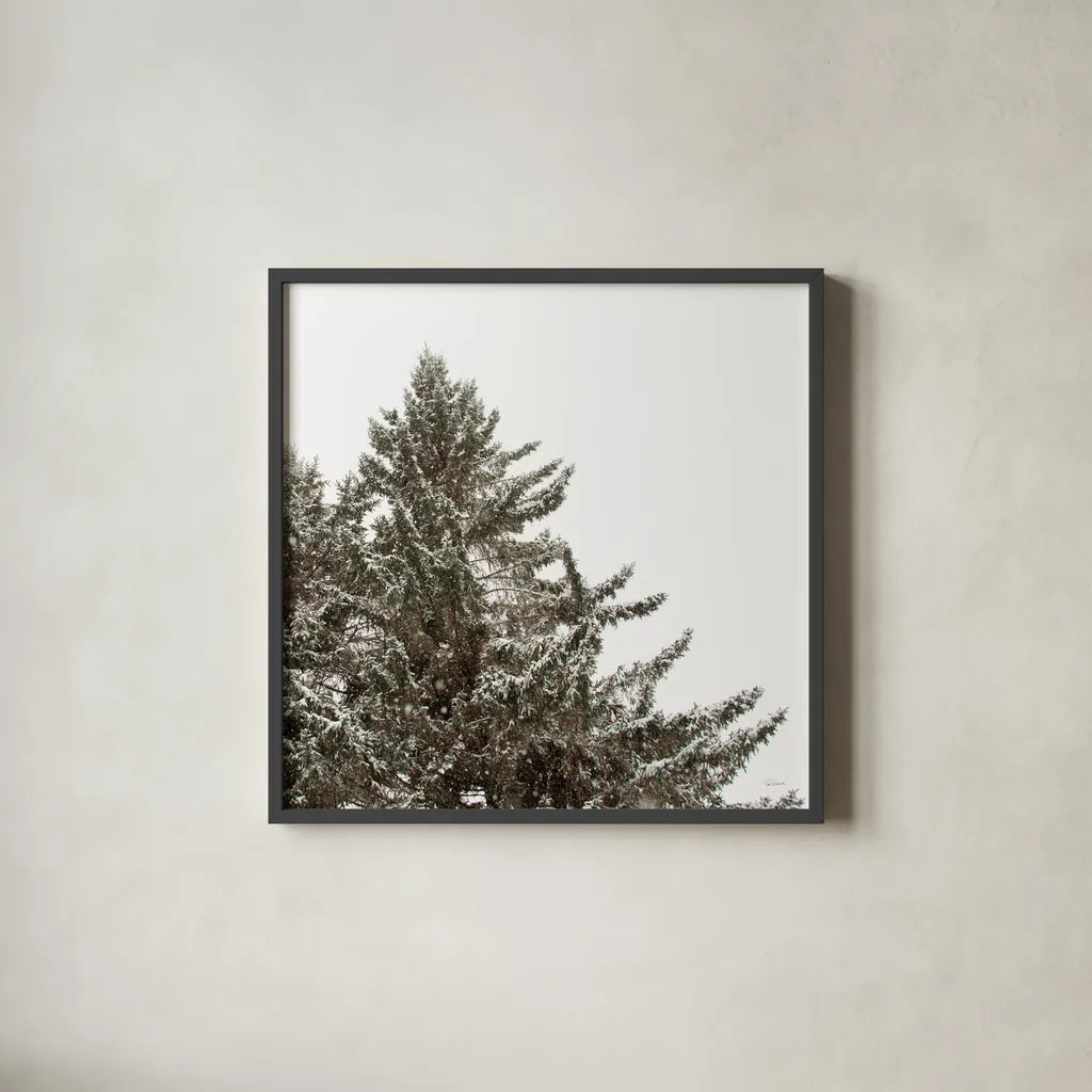 Snow on Treetops Crop by Sue Schlabach. Shown in a sleek black glass frame for a contemporary gallery look. Available as an archival giclee rolled canvas, fine art paper, or poster print. SKU 60939a.
