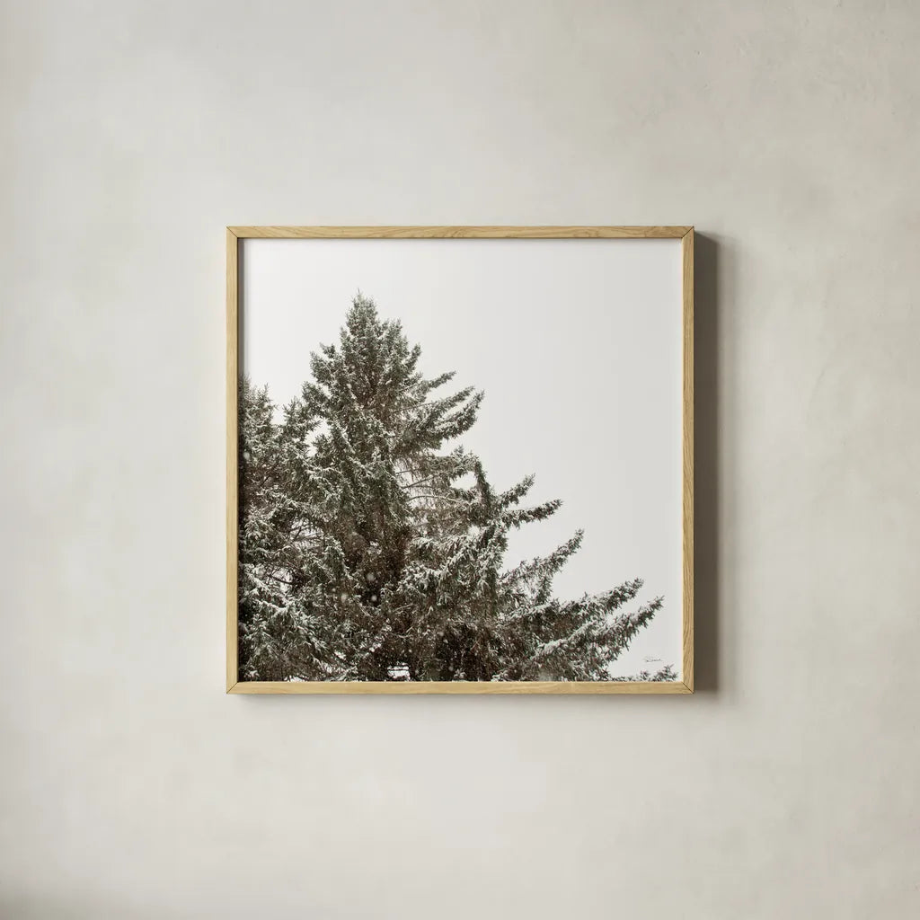 Snow on Treetops Crop by Sue Schlabach. Shown in a natural wood glass frame for a timeless modern aesthetic. Available as an archival giclee rolled canvas, fine art paper, or poster print. SKU 60939a.
