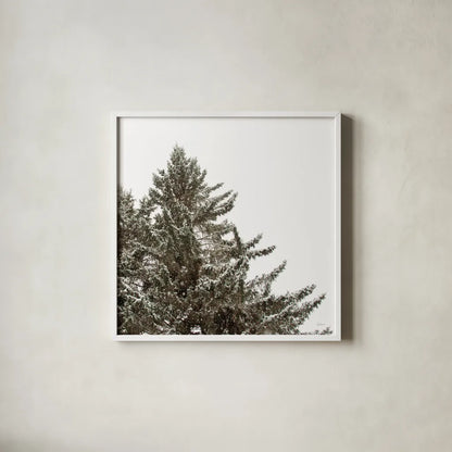 Snow on Treetops Crop by Sue Schlabach. Shown in a crisp white glass frame for a clean and minimalist style. Available as an archival giclee rolled canvas, fine art paper, or poster print. SKU 60939a.