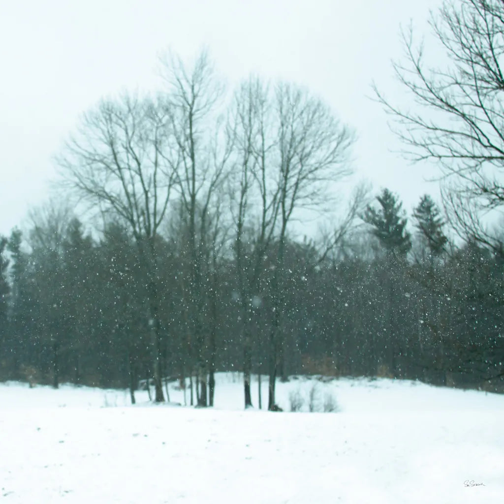 Snowfall by Sue Schlabach. SKU 60938a. Archival Giclee Fine art print for wall decor.