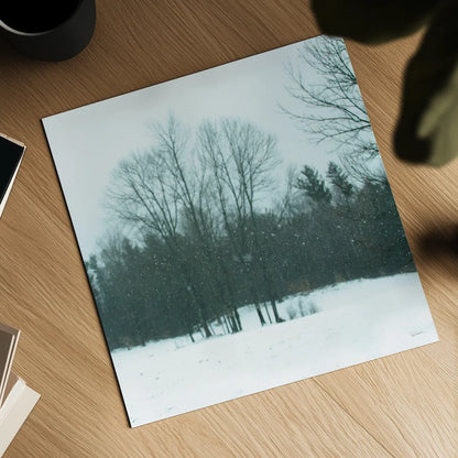 Snowfall by Sue Schlabach. Shown as a detailed flat fine art print, highlighting archival giclee quality. Available as an archival giclee rolled canvas, fine art paper, or poster print. SKU 60938a.