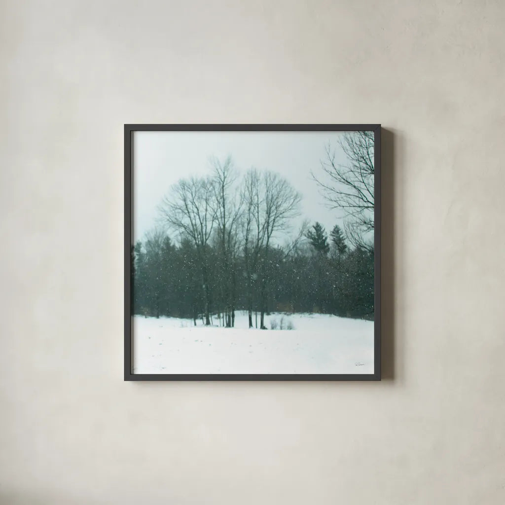 Snowfall by Sue Schlabach. Shown in a sleek black glass frame for a contemporary gallery look. Available as an archival giclee rolled canvas, fine art paper, or poster print. SKU 60938a.